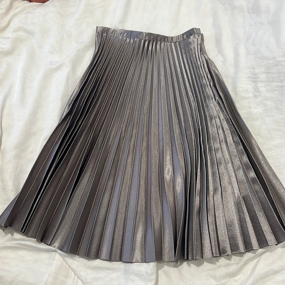 Banana Republic Metallic Accordion Pleated Skirt